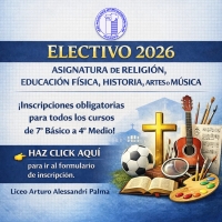 Electivos Obligatorios 2026